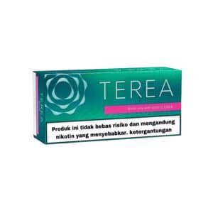 سیگار ترا اندونزی بلک گرین Terea Black Green