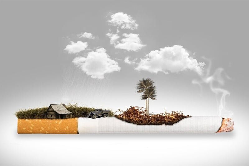 2025 را بدون دود تجربه کنید؛ راهی نو برای زندگی بهتر